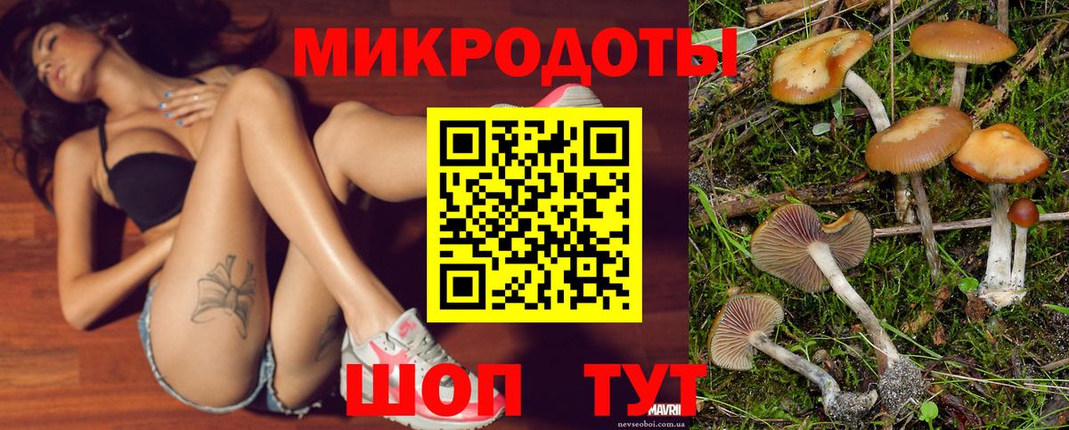 Псилоцибиновые грибы мухоморы Верхний Уфалей
